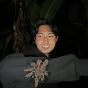 Turista observando de cerca una tarántula en la selva amazónica durante el Programa tucán de 3 días y 2 noches.